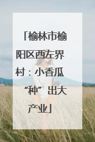 榆林市榆阳区西左界村：小香瓜“种”出大产业