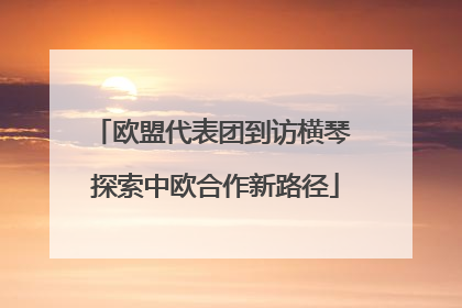 欧盟代表团到访横琴 探索中欧合作新路径