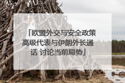 欧盟外交与安全政策高级代表与伊朗外长通话 讨论当前局势