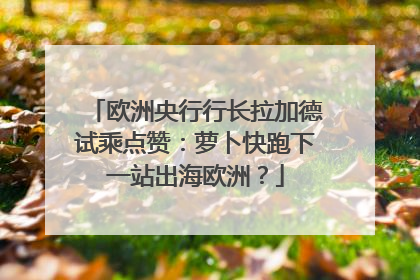 欧洲央行行长拉加德试乘点赞：萝卜快跑下一站出海欧洲？