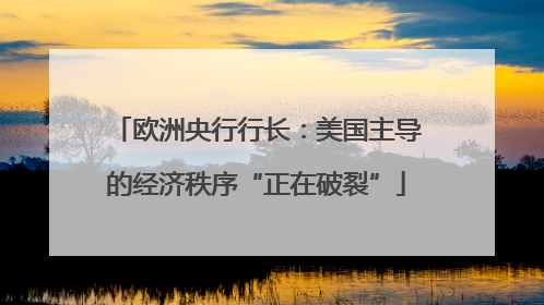 欧洲央行行长：美国主导的经济秩序“正在破裂”