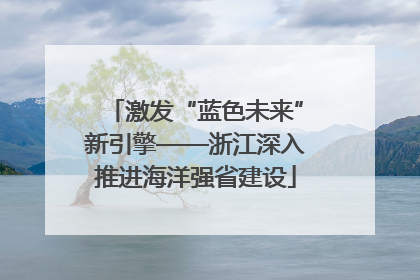 激发“蓝色未来”新引擎——浙江深入推进海洋强省建设
