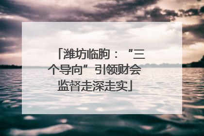 潍坊临朐：“三个导向”引领财会监督走深走实