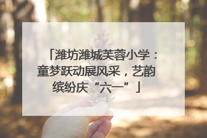 潍坊潍城芙蓉小学：童梦跃动展风采，艺韵缤纷庆“六一”