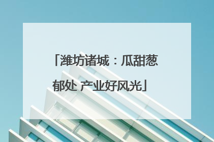 潍坊诸城：瓜甜葱郁处 产业好风光