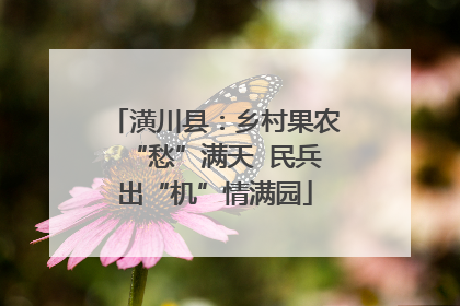 潢川县：乡村果农“愁”满天  民兵出“机”情满园