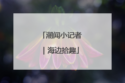 潮闻小记者｜海边拾趣