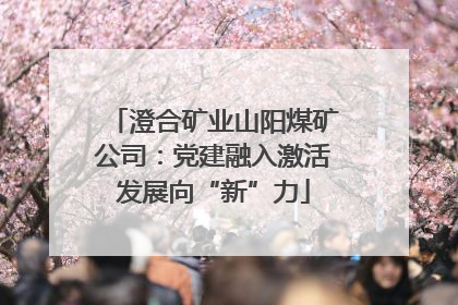 澄合矿业山阳煤矿公司：党建融入激活发展向“新”力