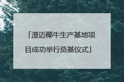 澄迈椰牛生产基地项目成功举行奠基仪式