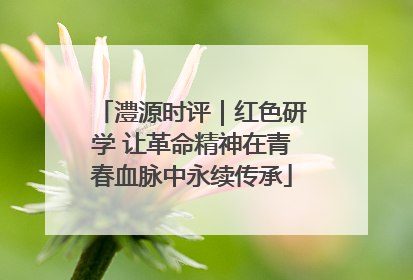 澧源时评｜红色研学 让革命精神在青春血脉中永续传承
