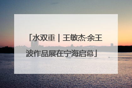 水双重｜王敏杰·余王波作品展在宁海启幕