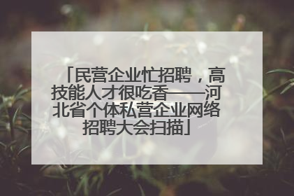 民营企业忙招聘，高技能人才很吃香——河北省个体私营企业网络招聘大会扫描
