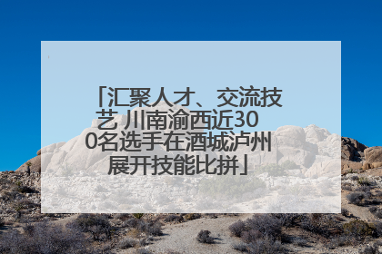 汇聚人才、交流技艺 川南渝西近300名选手在酒城泸州展开技能比拼