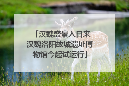 汉魏盛景入目来 汉魏洛阳故城遗址博物馆今起试运行