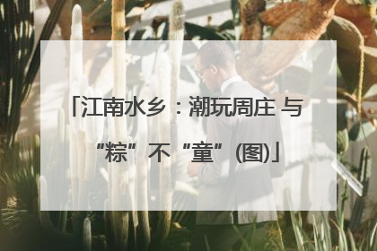 江南水乡：潮玩周庄 与“粽”不“童”(图)