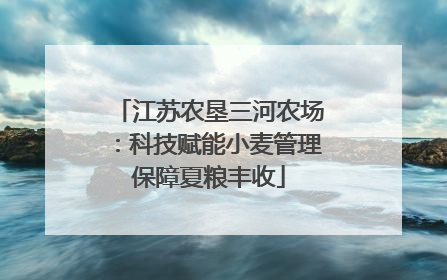江苏农垦三河农场：科技赋能小麦管理保障夏粮丰收
