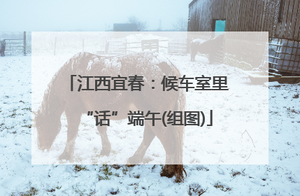 江西宜春：候车室里“话”端午(组图)
