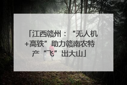 江西赣州：“无人机+高铁”助力赣南农特产“飞”出大山