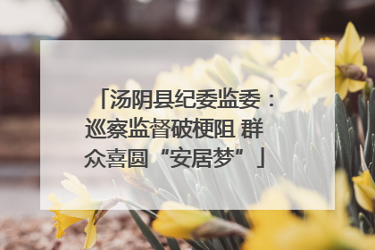 汤阴县纪委监委：巡察监督破梗阻 群众喜圆“安居梦”