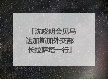 沈晓明会见马达加斯加外交部长拉萨塔一行