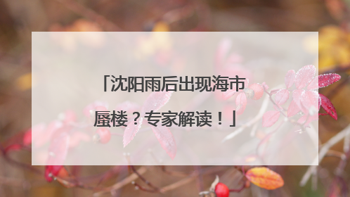 沈阳雨后出现海市蜃楼？专家解读！