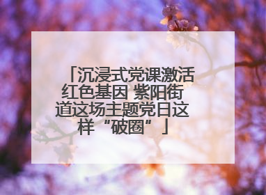 沉浸式党课激活红色基因 紫阳街道这场主题党日这样“破圈”