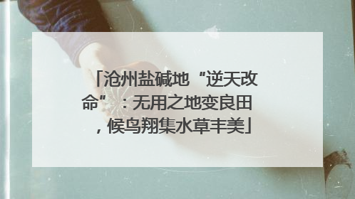 沧州盐碱地“逆天改命”：无用之地变良田，候鸟翔集水草丰美