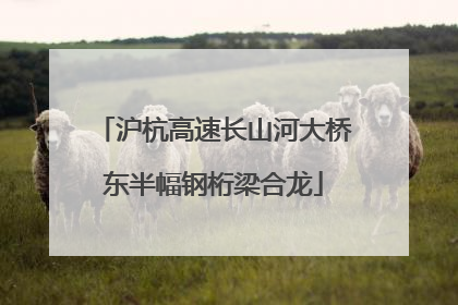 沪杭高速长山河大桥东半幅钢桁梁合龙
