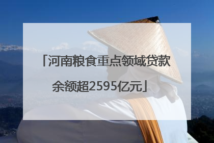 河南粮食重点领域贷款余额超2595亿元