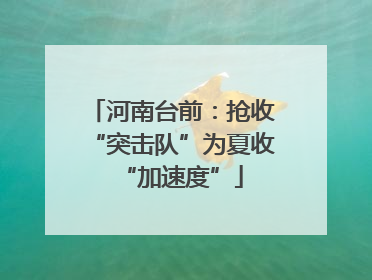河南台前：抢收“突击队”为夏收“加速度”