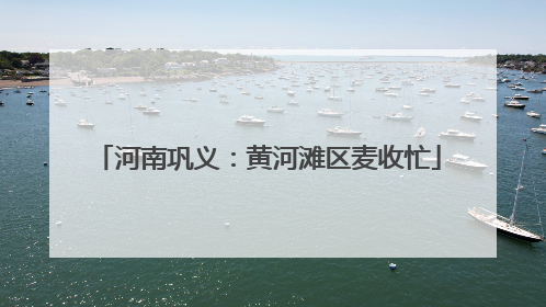 河南巩义：黄河滩区麦收忙