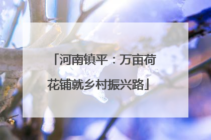 河南镇平：万亩荷花铺就乡村振兴路