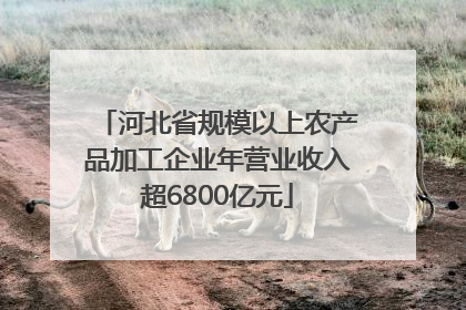 河北省规模以上农产品加工企业年营业收入超6800亿元