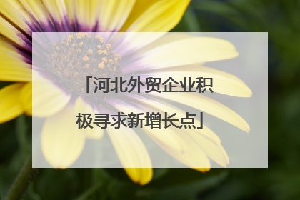 河北外贸企业积极寻求新增长点
