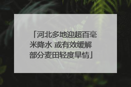 河北多地迎超百毫米降水 或有效缓解部分麦田轻度旱情