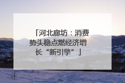 河北廊坊：消费势头稳点燃经济增长“新引擎”