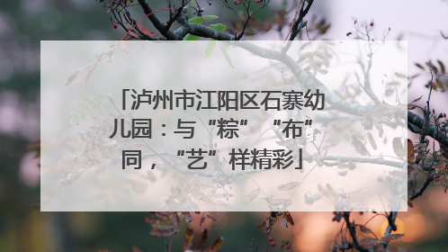 泸州市江阳区石寨幼儿园：与“粽”“布”同，“艺”样精彩