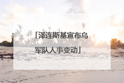 泽连斯基宣布乌军队人事变动