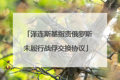 泽连斯基指责俄罗斯未履行战俘交换协议