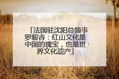法国驻沈阳总领事罗毅睿：红山文化是中国的瑰宝，也是世界文化遗产
