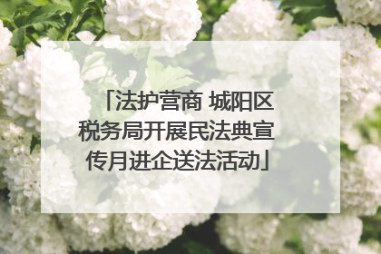 法护营商 城阳区税务局开展民法典宣传月进企送法活动