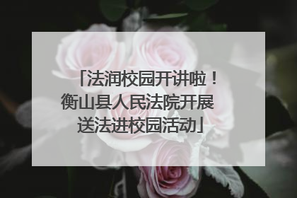法润校园开讲啦！衡山县人民法院开展 送法进校园活动