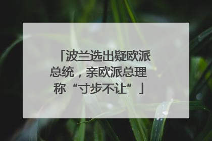 波兰选出疑欧派总统，亲欧派总理称“寸步不让”