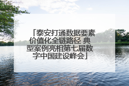 泰安打通数据要素价值化全链路径 典型案例亮相第七届数字中国建设峰会