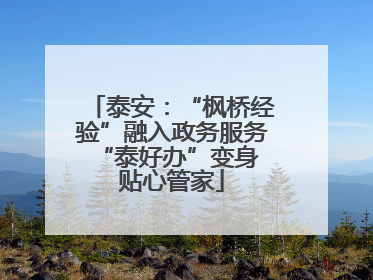 泰安：“枫桥经验”融入政务服务 “泰好办”变身贴心管家