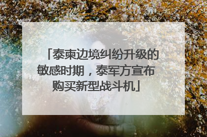 泰柬边境纠纷升级的敏感时期，泰军方宣布购买新型战斗机