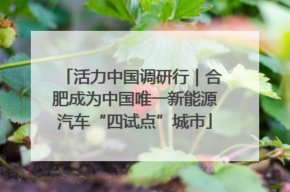 活力中国调研行｜合肥成为中国唯一新能源汽车“四试点”城市