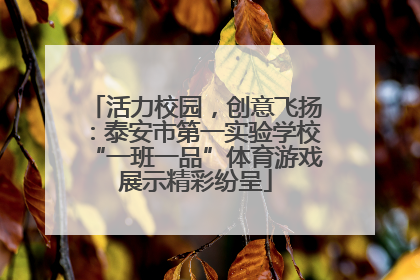 活力校园，创意飞扬：泰安市第一实验学校“一班一品”体育游戏展示精彩纷呈