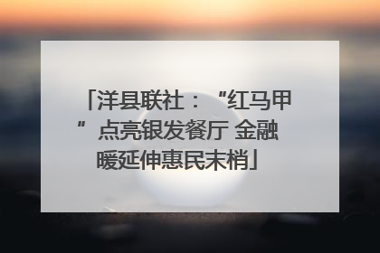 洋县联社：“红马甲”点亮银发餐厅 金融暖延伸惠民末梢