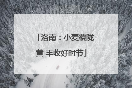洛南：小麦覆陇黄 丰收好时节